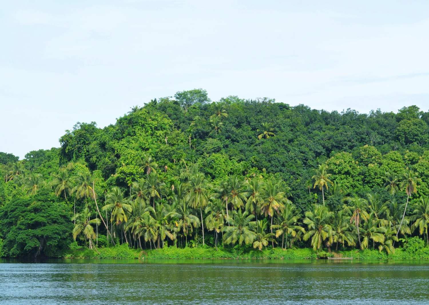 kerla